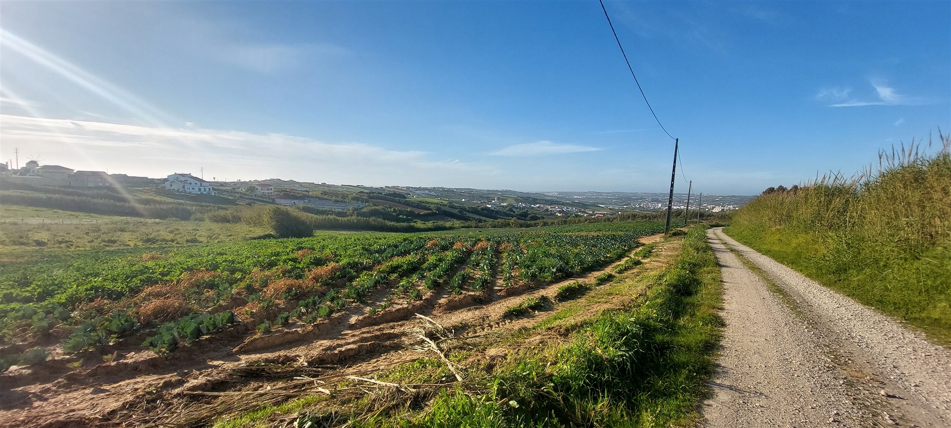 Terreno Rústico com Excelente Potencial Agrícola – Localização Privilegiada